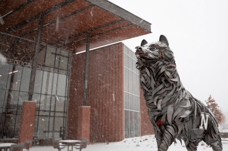 Enrollment numbers are up this fall at Northern State University.