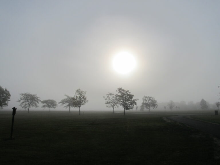 aberdeenfog