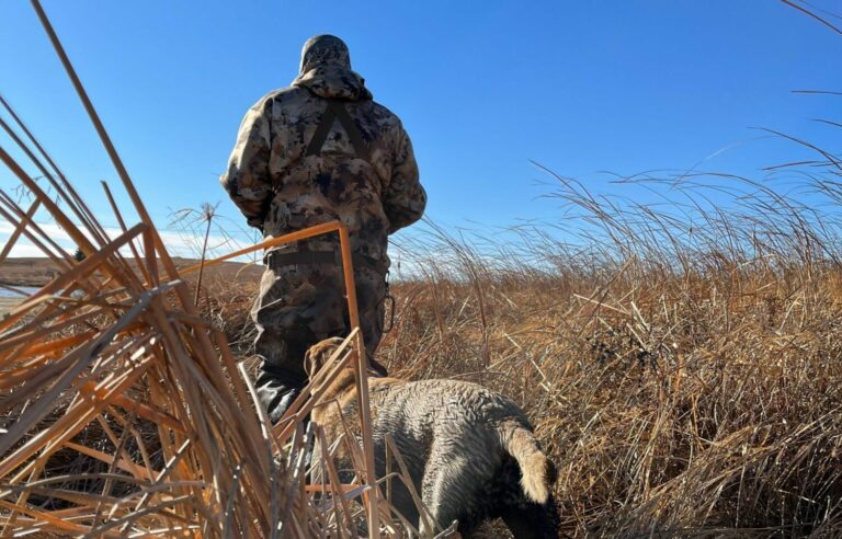 The Prairie Pothole Region is good for duck hunting.