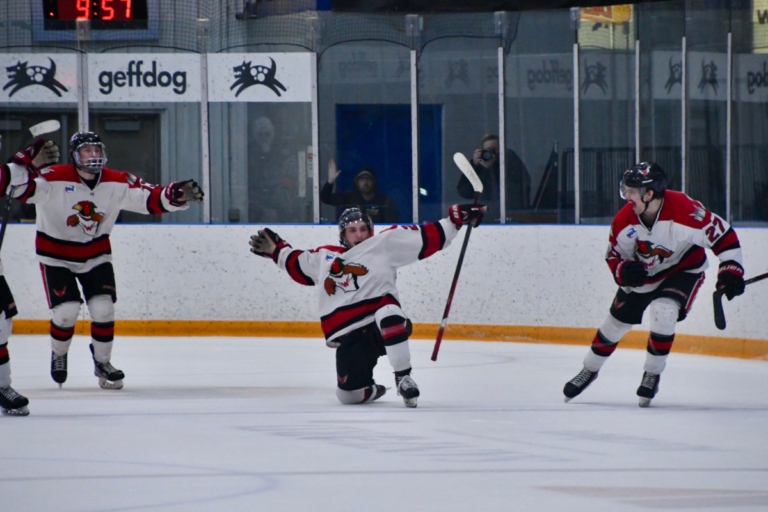 The Aberdeen Wings celebrate a goal against St. Cloud on Saturday, April 15 at the Odde Ice Center. Aberdeen and St. Cloud meet in the first round of the NAHL Central Division playoffs. Photo courtesy of Aberdeen Wings