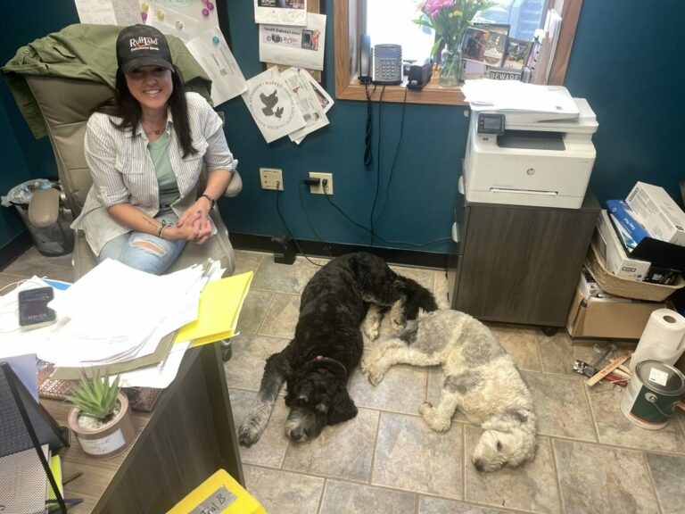 Ruff Land Kennels CEO Alisa Turner sits behind her desk at their office in Tea, S.D., as two of her office dogs provide continued inspiration for more innovations at the company. South Dakota News Watch photo by Bart Pfankuch