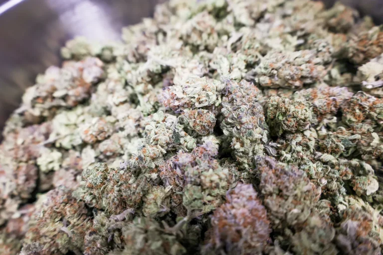 South Dakota voters will decide Nov. 5 whether to legalize the recreational use of marijuana for people 21 and older. File photo.