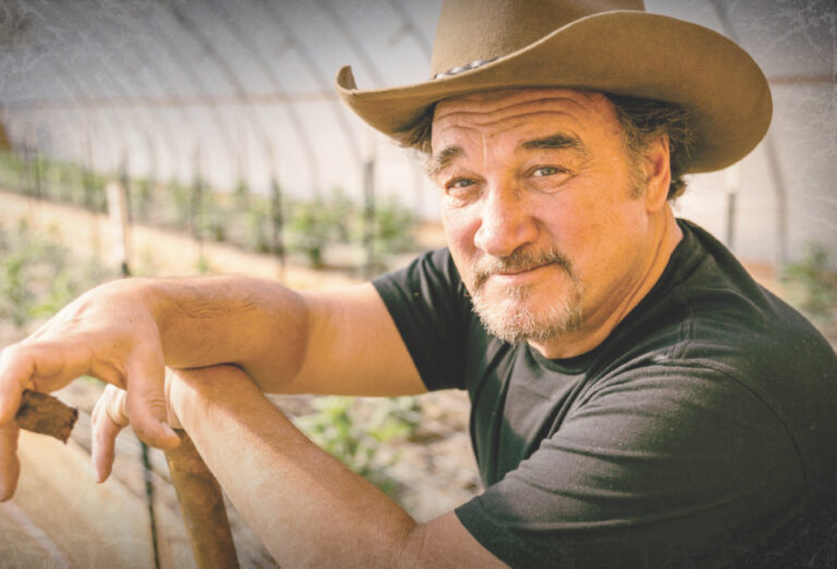 Jim Belushi advocates for medical marijuana use