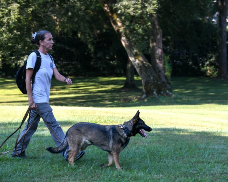 New information about the Morgan Bauer case could be released next week after a search of a Porterdale, Ga., property on Thursday, July 27. Photo courtesy of Porterdale Police Department