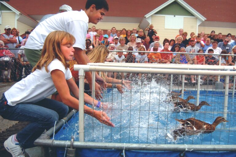 A new feature at this year's Brown County Fair will be duck races. Five race times are set each day starting Tuesday, Aug. 15 and continuing through Saturday, Aug. 19. Courtesy photo