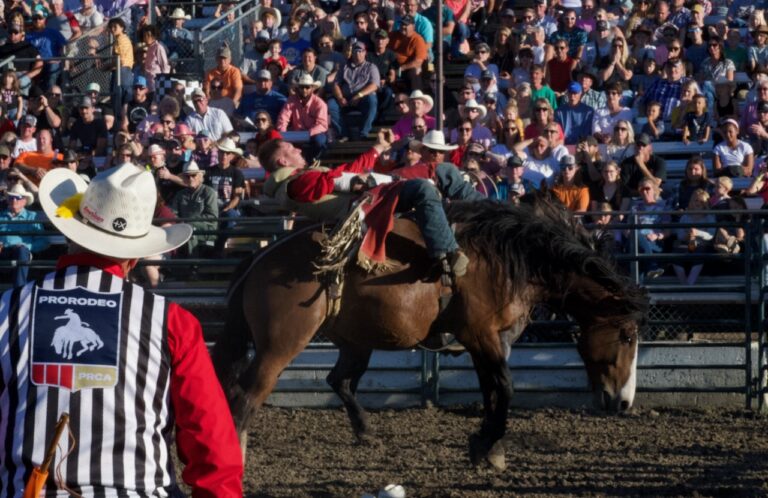 Bareback riding was the first event at the Dacotah Stampede Rodeo on Tuesday, Aug. 15 at the Brown County Fair. Aberdeen Insider photo by Elisa Sand