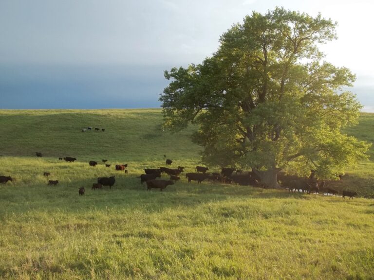 e4eb660b 2987 4dd1 a83e 7a9cd0065698 4288x3216