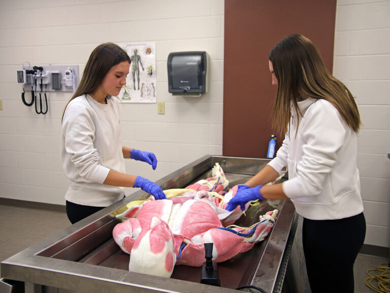 Groton Area High School juniors Brooklyn and Kennedy Hansen said they like the hands-on experience of using a synthetic cadaver in class. Aberdeen Insider photo by Symmone Gauer