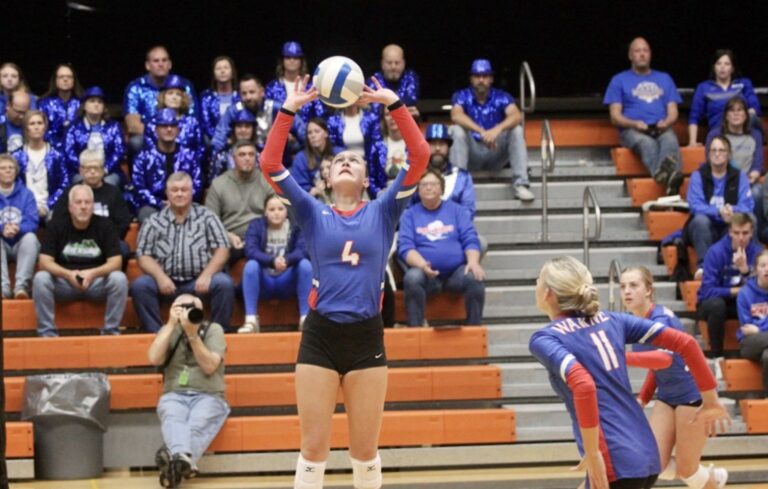 Warner's Ava Nilsson sets the ball during a Class B SoDak 16 match against Trip Delmont/Armour. Warner advanced in straight sets to qualify for the state tournament. Photo courtesy Mike Carroll, Huron Plainsman