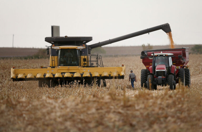 Dave Fendrich, walking, helps Bryant Hofer, in combine, harvest a field of corn on Oct. 2, 2013, near Salem. Getty Images photo by Scott Olson