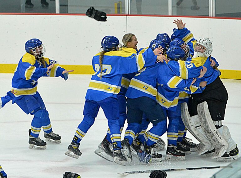 Members of the Aberdeen Cougars girls hockey team celebrate following their state championship win over Sioux Falls Sunday, March 3 in Watertown. Public Opinion photo by Roger Merriam