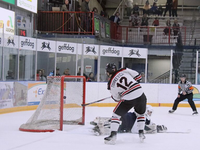 WINGS BULLS Tish shorty