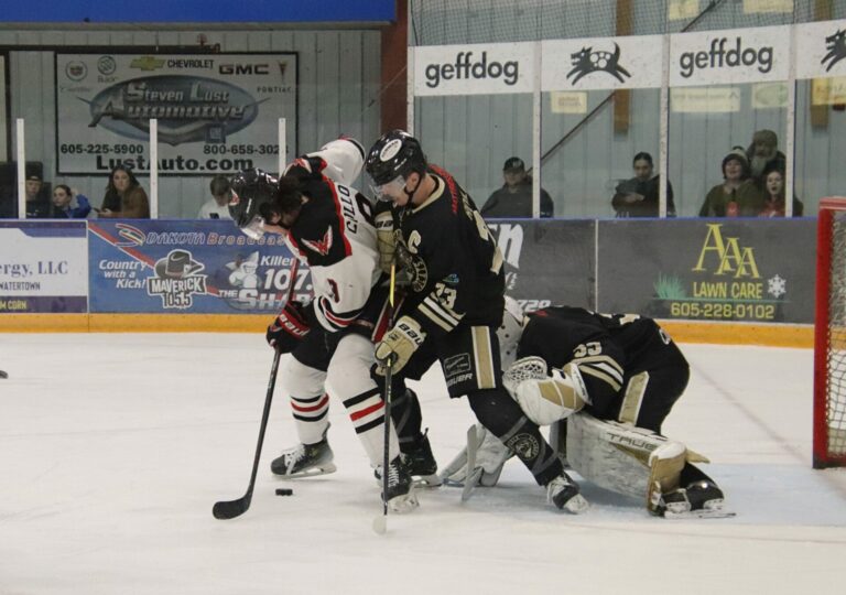 WINGS BIS SAT Sal Colora