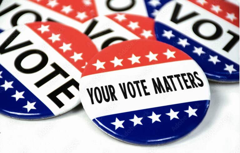 Vote voter voting election graphic