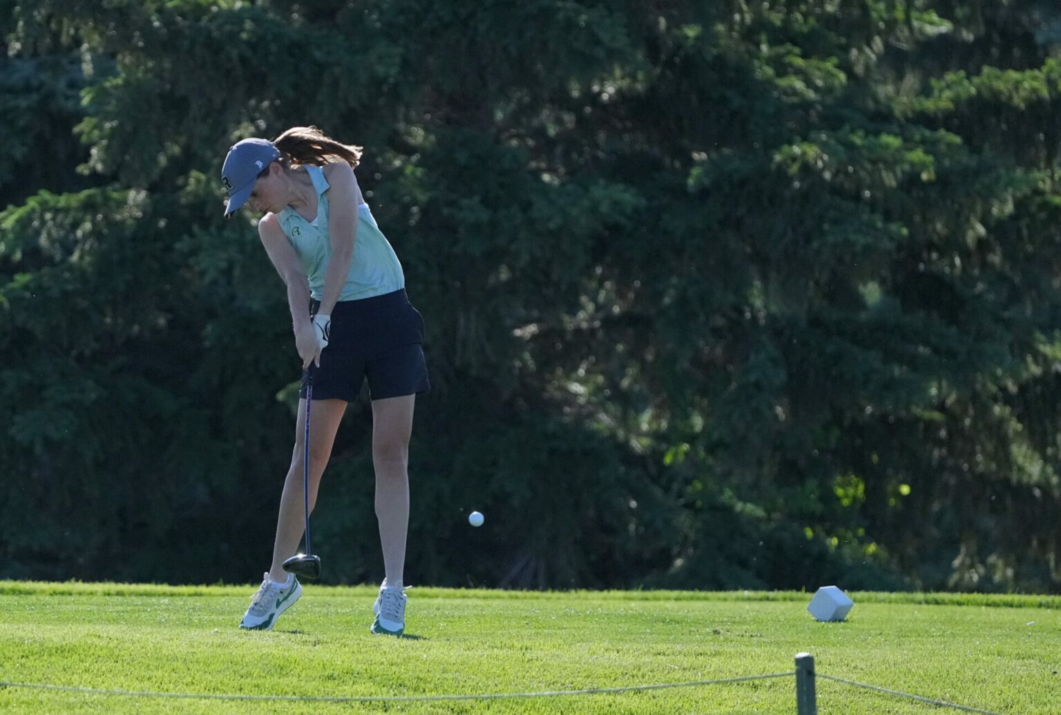 State Golf Tournament: Central Takes Third In Class AA; Groton's ...