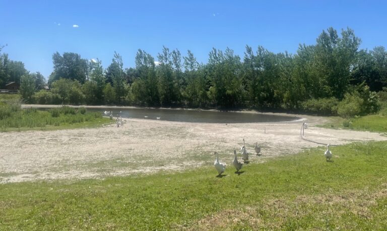 Officials with South Dakota School and Public Lands are seeking the money needed to replace the dam at Richmond Lake. Aberdeen Insider photo by Elisa Sand.