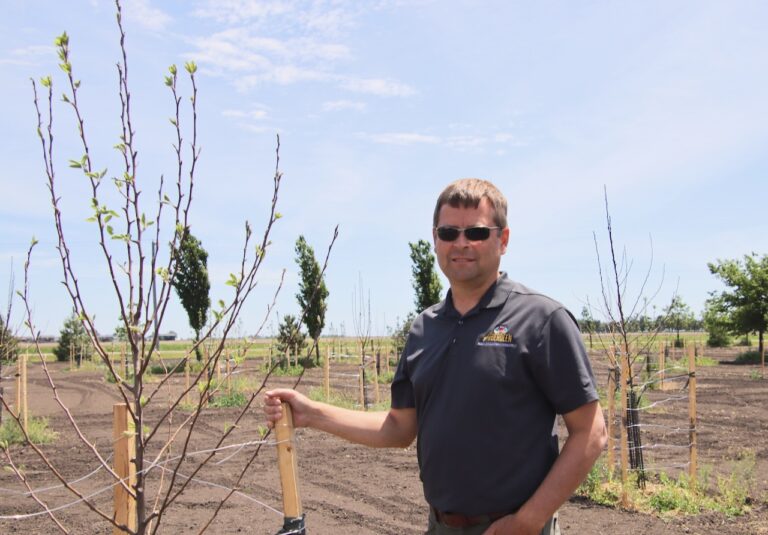 Aberdeen City Forester Aaron Kiesz stands next to one of the 87 new fruit trees planted south of the Kuhnert Arboretum. The area will eventually be a community orchard. Aberdeen Insider photo by Elisa Sand.