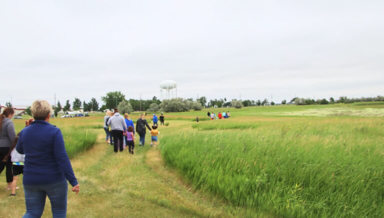 Parents and youth were at the Laudate Si prairie on Tuesday, June 18 for an educational program through K.O. Lee Aberdeen Public Library. Aberdeen Insider photo by Elisa Sand.