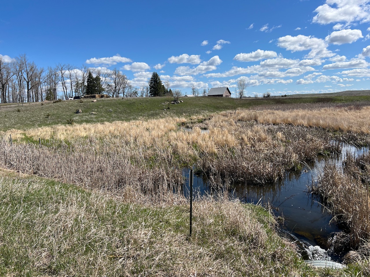 Pickerel Lake Conservancy buys 80 acres to protect water quality 1 New land purchased by the Pickerel Lake Conservancy was previously owned by Stanley and Sadie Ruby. Chekapa Creek, which is the main waterway into the lake, meanders through the property. Photo courtesy of the Pickerel Lake Conservancy.