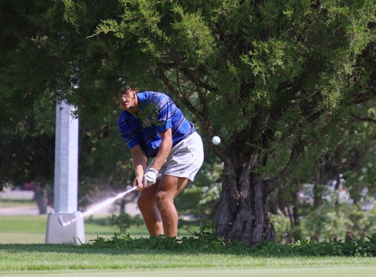 Aberdeen Central's Kalen Larson watches his chip shot from behind a tree on the 16th hole during the Hub City Invitational Tuesday, Sept. 3 at Lee Park Golf Course. Aberdeen Insider photo by Robb Garofalo
