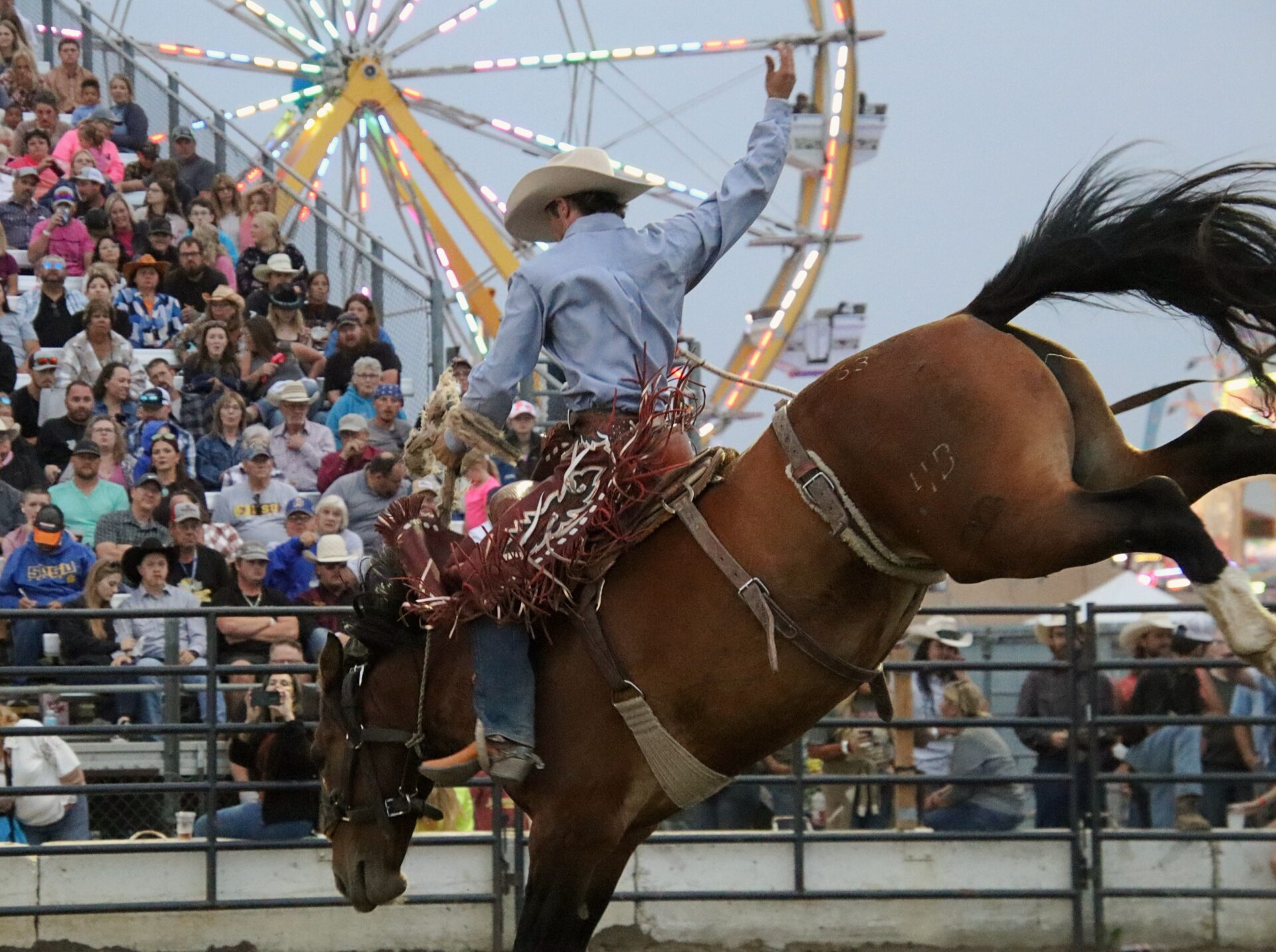 Gallery: Check Out The What's Happening At The 2024 Brown County Fair ...