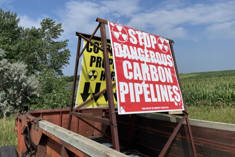 A sign opposing carbon dioxide pipelines stands alongside an eastern South Dakota farm field in July 2024. South Dakota Searchlight file photo by Seth Tupper.