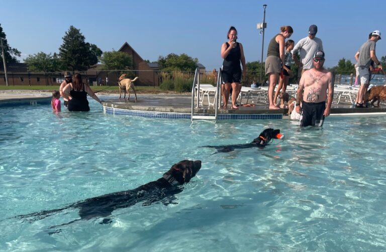 Several pet owners brought their dogs to the Aberdeen Aquatic Center on Sunday, Aug. 18 for a special end of the season event open to dogs and their owners.Dogs enjoyed all areas of the Aberdeen Aquatic Center including the lazy river. Aberdeen Insider photo by Elisa Sand.