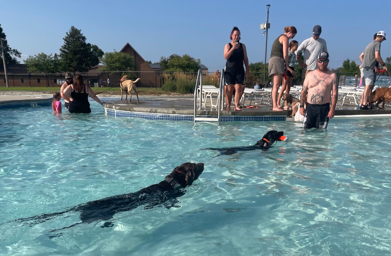 Several pet owners brought their dogs to the Aberdeen Aquatic Center on Sunday, Aug. 18 for a special end of the season event open to dogs and their owners.Dogs enjoyed all areas of the Aberdeen Aquatic Center including the lazy river. Aberdeen Insider photo by Elisa Sand.