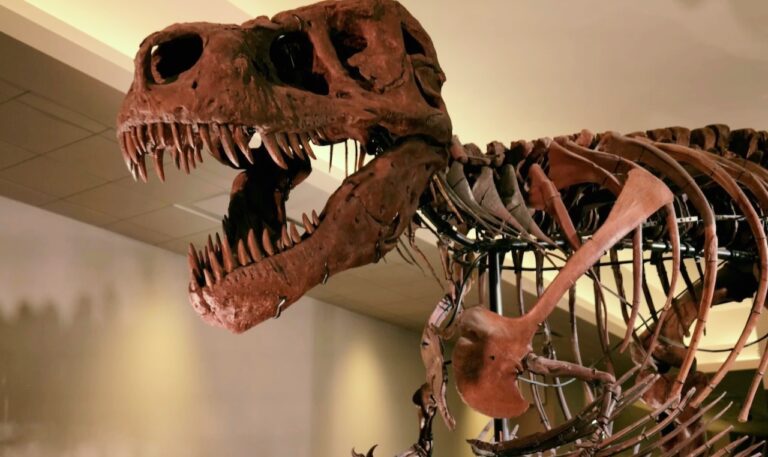 Dinosaurs are one of the focuses of the 2024 South Dakota Film Festival, which opens Thursday, Sept. 12 in Aberdeen. Courtesy photo.