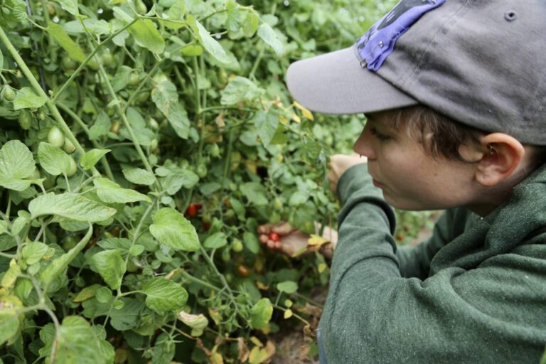 Nutritious, sustainably grown food is an important part of healthy communities. The South Dakota Fresh Connect website allows users to find the locally grown food they need to improve their lives. Photo courtesy of Natural Resources Conservation Service of South Dakota.