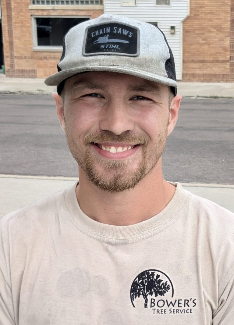 Alex Bower tree-climbing