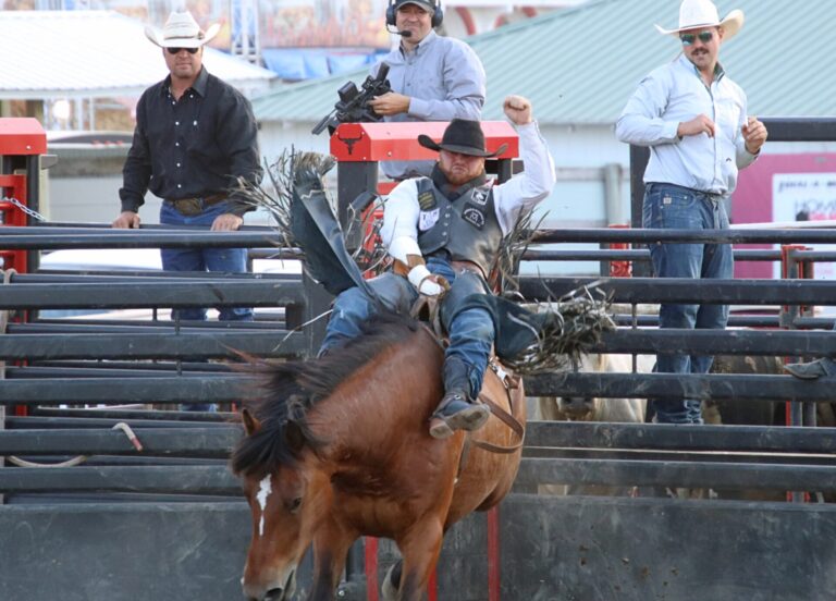 Andrew Gingerich rides out of the bucking chute during the Dacotah Bank Stampede Rodeo, Tuesday Aug. 13 at the Brown County Fair. Aberdeen Insider photo by Robb Garofalo.