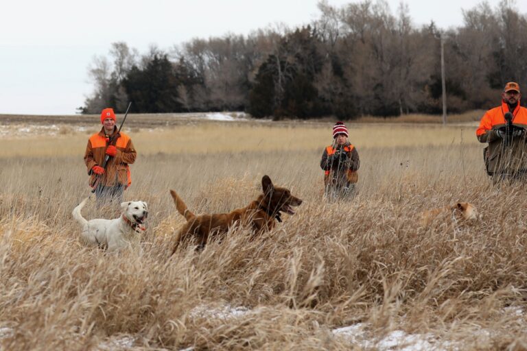 Members of the Northern State University Pheasants Forever chapter participated in a guided hunt at Dakota Pheasant Guide near Mellette earlier this year. Courtesy photo.