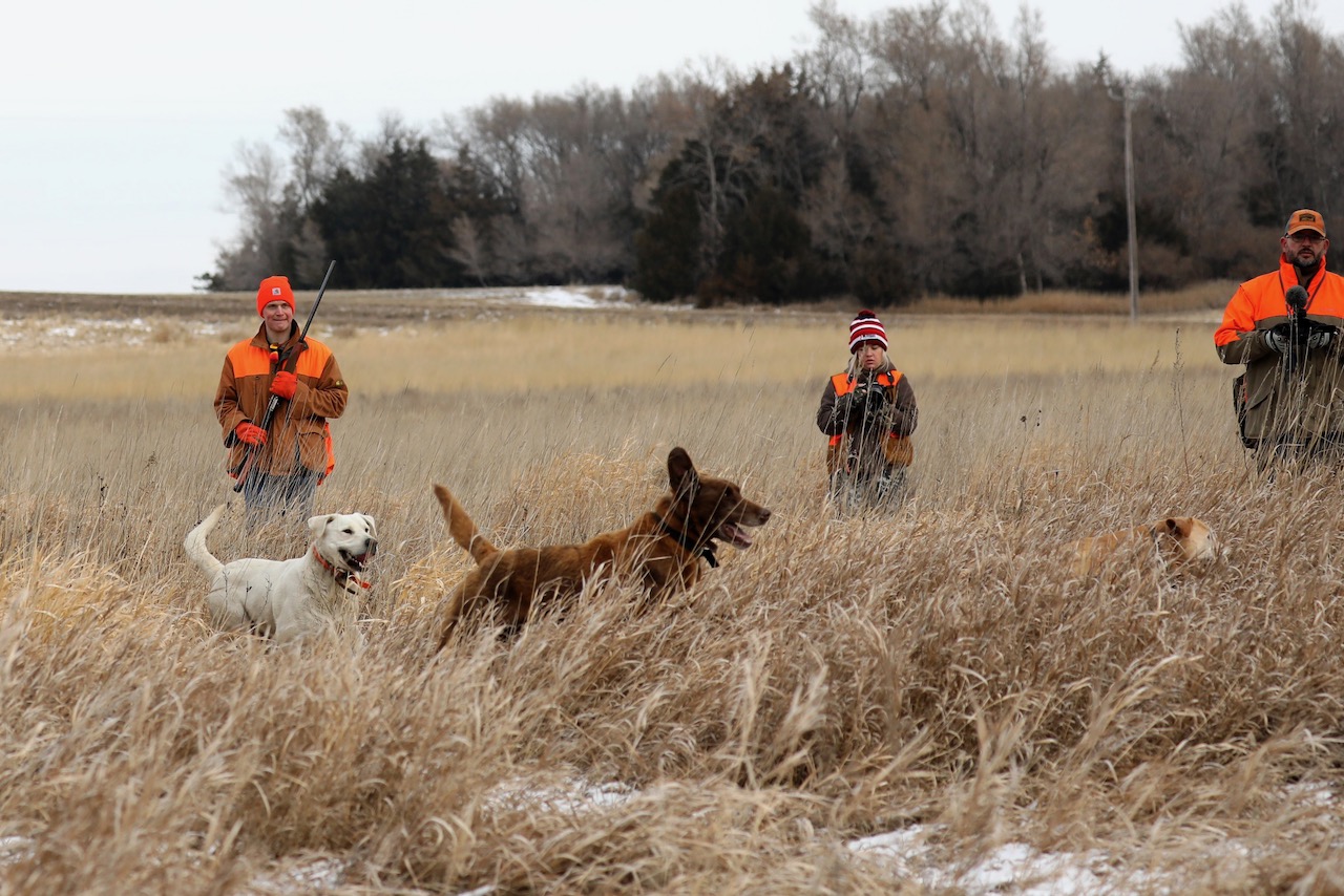 Members of the Northern State University Pheasants Forever chapter participated in a guided hunt at Dakota Pheasant Guide near Mellette earlier this year. Courtesy photo.