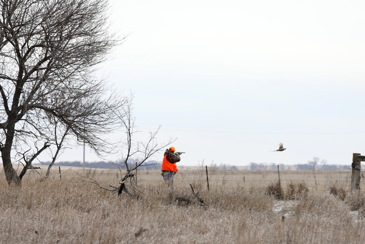 Members of the Northern State University Pheasants Forever chapter participated in a guided hunt at Dakota Pheasant Guide near Mellette earlier this year. Courtesy photo.