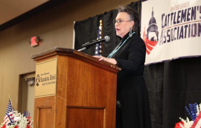 Rep. Harriet Hageman, R-Wyo., addresses the crowd at the Livestock Producers Freedom Rally in Rapid City on Oct. 7. Dakota Scout photo by Austin Goss.