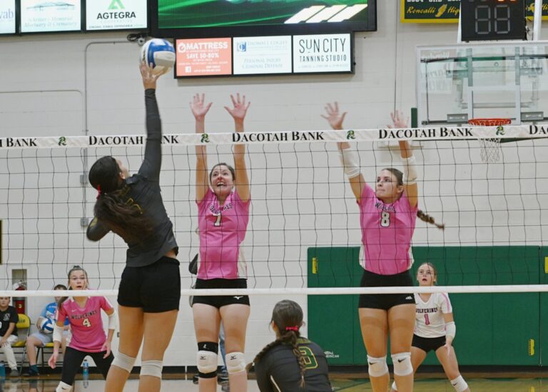 RHS VB GABBY