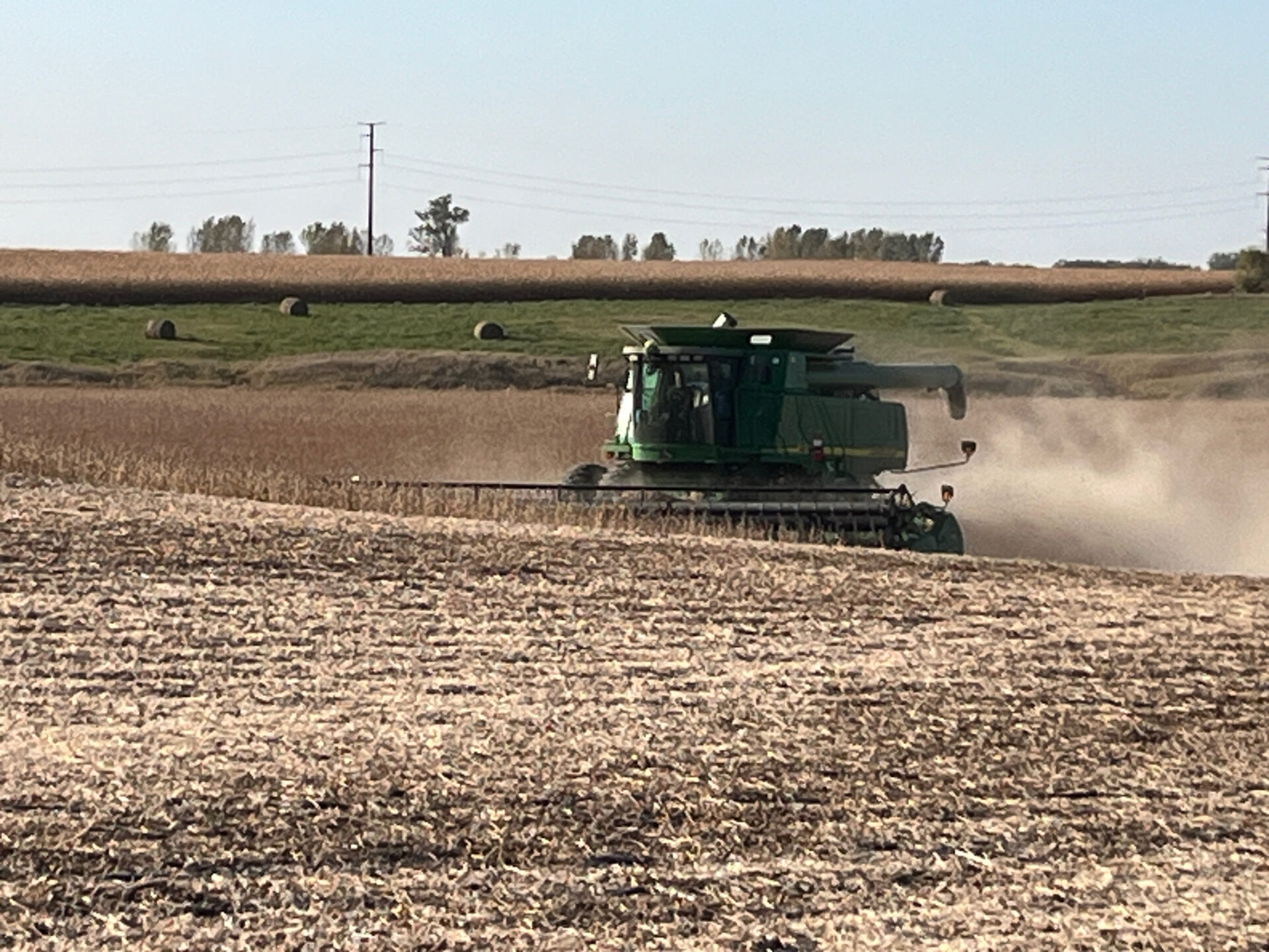With a large harvest expected this fall, farmers who haven't pre-sold their crops might struggle to find a buyer. Photo courtesy of Connie Sieh Groop for The Aberdeen Insider.