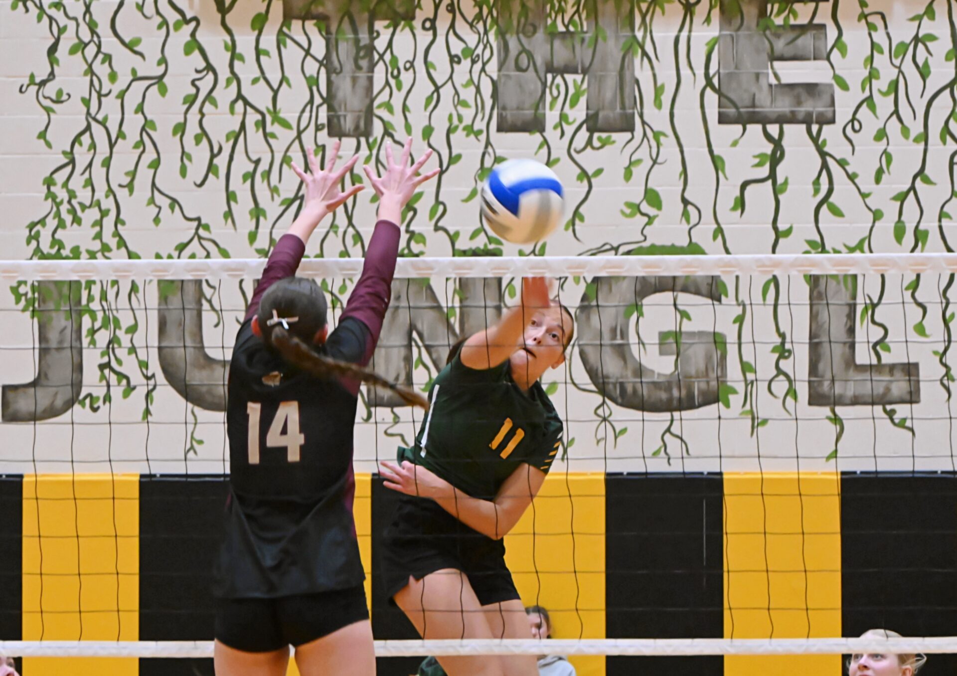Roncalli, Groton, Warner Advance To Volleyball SoDak 16 | Aberdeen Insider