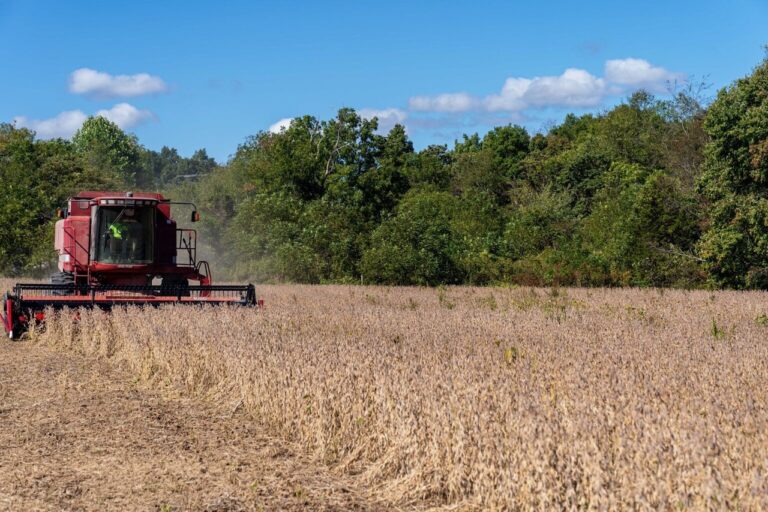 Mike Scully harvests soybeans at Scully Family Farms in Spencer, Indiana, on Sept. 29, 2022. USDA Natural Resources Conservation Service photo by Brandon O’Connor.
