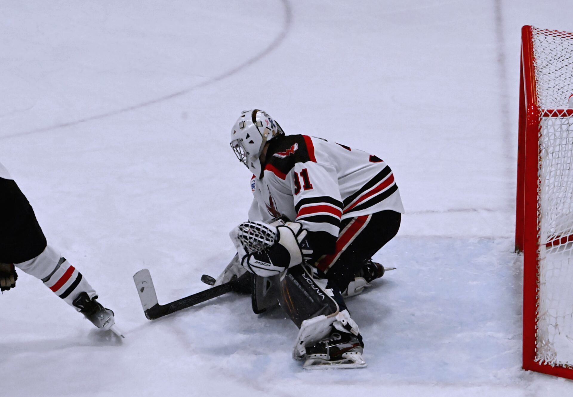 Aberdeen Wings goalie Willum Braun makes a save during the third period against Watertown Wednesday, Nov. 27 in the Odde Ice Center. Braun saved all 31 shots he faced for the shutout as the Wings won 3-0. Aberdeen Insider photo by Robb Garofalo.