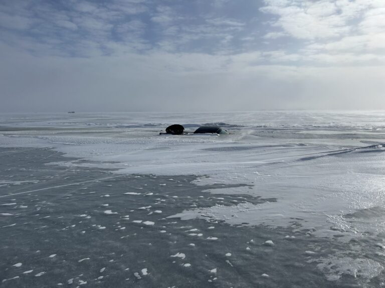 473425525 1030256425804077 1376722134296338922 n