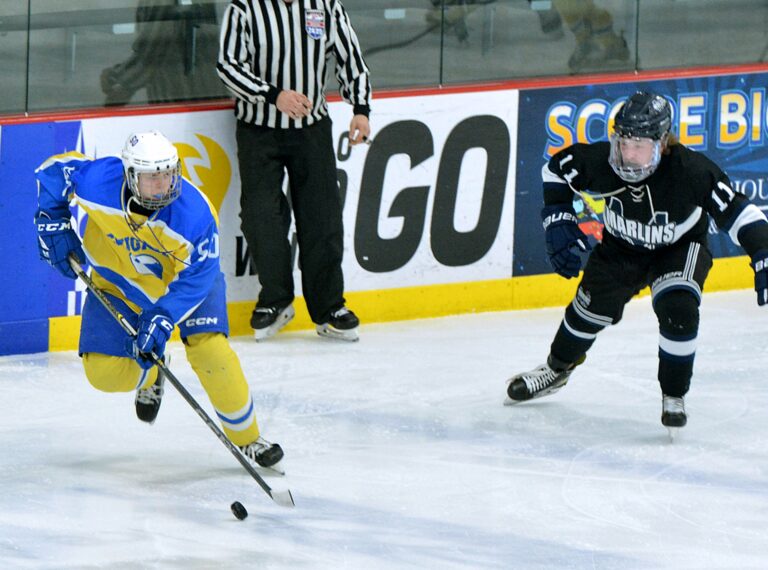COUGARS BOYS HOCKEY STATE