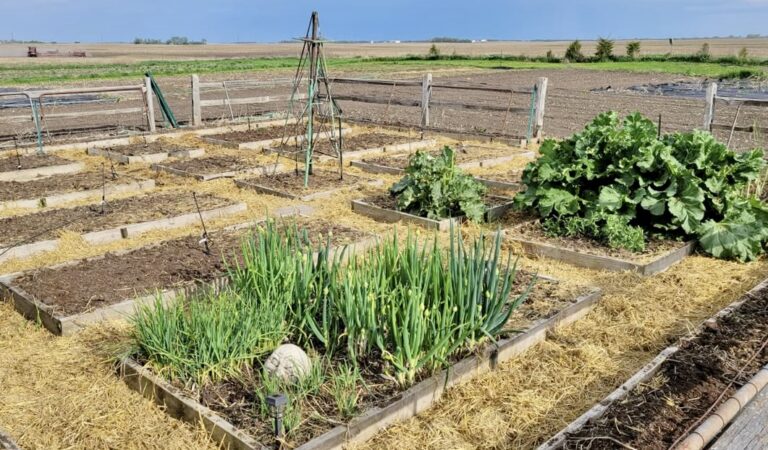 Chris Goldade and his wife Lori own and operate Flat Rock Farms near Westport. Courtesy photo.