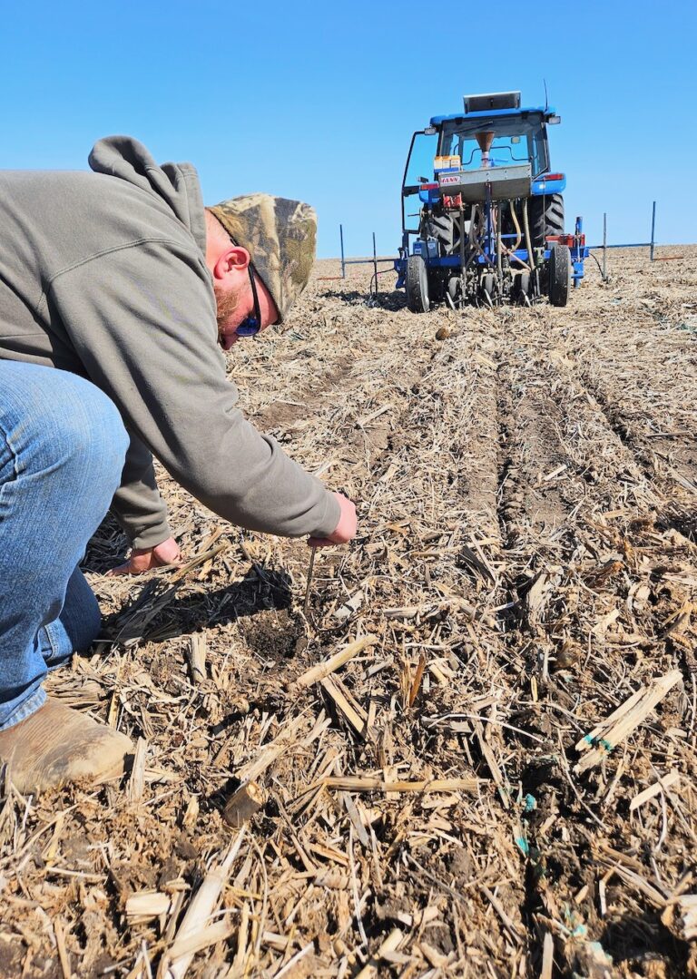 Oats and spring wheat were planted near Aberdeen on March 31 in the first site of the South Dakota State Extension Crop Performance Testing program. Recent moisture should help crops. Courtesy photo.