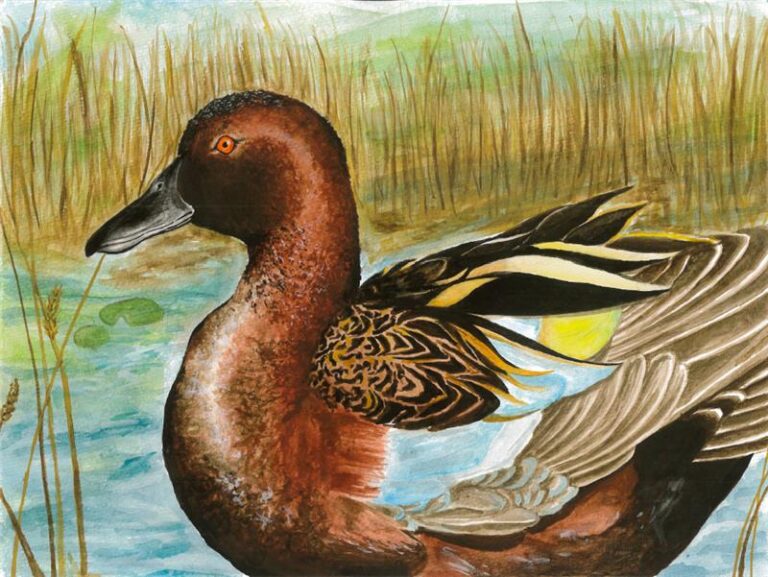 488258828 122217219968194334 8695236500297947419 n