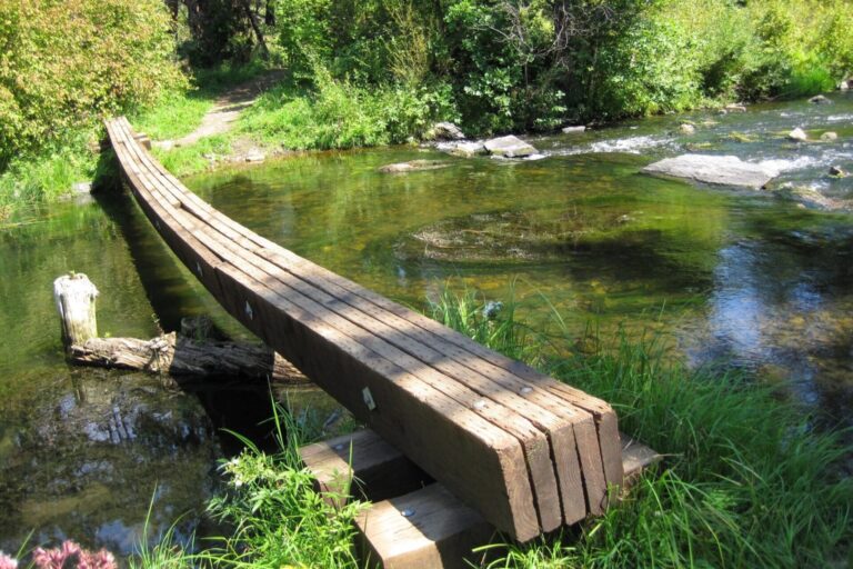 A footbridge spans Spring Creek in South Dakota's Black Hills. Hill City had hoped to use Building Resilient Infrastructure and Communities funding for a floodplain study of the creek. South Dakota Searchlight photo by Seth Tupper.
