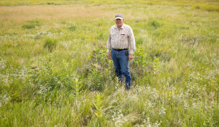 Jim Faulstich uses regenerative grazing practices on his Daybreak Ranch near Highmore to improve rangeland biodiversity, promote soil health, provide wildlife habitat, and increase forage production. He has a grazing plan already established for years when drought conditions become too severe. Courtesy photo.