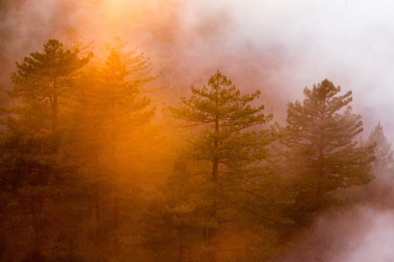 wildfires air