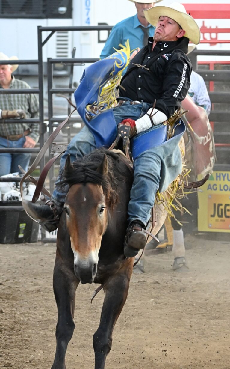 The 2025 Brown County Fair was a good one as far as grandstand ticket sales were concerned, said Rachel Kippley, fair and fairgrounds manager. She said one night of the Dacotah Bank Stampede rodeo sold out. Aberdeen Insider file photo.